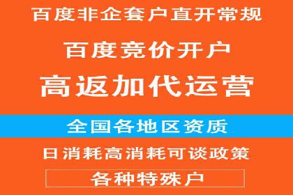 百度竞价代理操作手册：成功案例分析